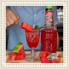 FC WATERMELON PUREE / 1 LITER (CASE)