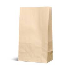 #6 BROWN PAPER BAG [500/CS]