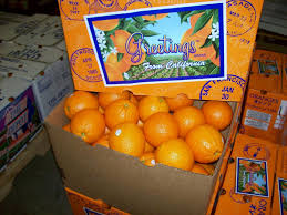 ORANGES / 40 LB