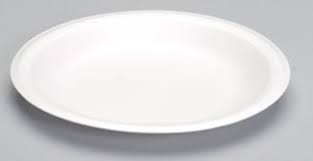 FOAM PLATE / 9" / WHITE / NON-LAMINATED (500/CS)