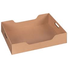 CATERING TRAY WITH COVER / LARGE / 20.25" X 13.75" X