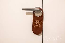 HOTEL DOOR SIGN - DO NOT DISTURB - KEY SLOT OR HANG -