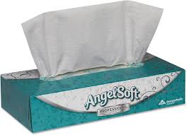 2-PLY FACIAL TISSUE / 100/SHEETS / FLAT BOX (30/CS)