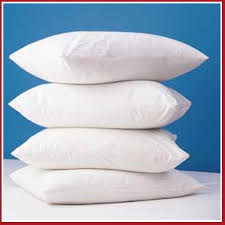 ZIPPER PILLOW PROTECTOR / STANDARD / 21 X 27 (DOZEN)