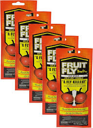FRUIT FLY BAR PRO / 5 PACK (PACK)