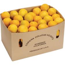 ORANGES / 40 LB