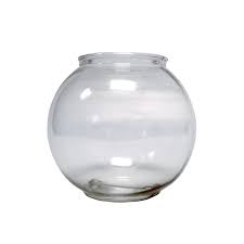 FISHBOWL - 20OZ - CLEAR