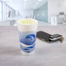 20J16H / DART 20 OZ FOAM HORIZON CUP (20/25/500)