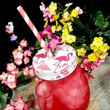 PINK FLAMINGO GLASS / 18 OZ / WITH LID (EACH)