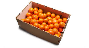 ORANGES / 40 LB