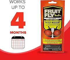 FRUIT FLY BAR PRO / 5 PACK (PACK)