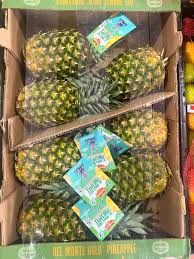 FRESH PINEAPPLES / 5-7 CT [CS]