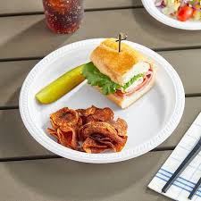 10 INCH PLASTIC PLATE / WHITE / 500 PER CASE (CASE)