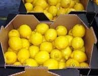 LEMONS / 40 LB