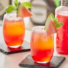 FC WATERMELON PUREE / 1 LITER (CASE)