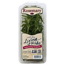 ROSEMARY / 1 LB