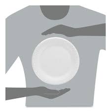 DART 9" WHITE PLASTIC PLATE - 4/125 CASE (500/CS)