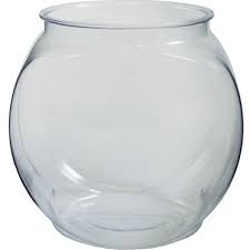 FISHBOWL - 20OZ - CLEAR
