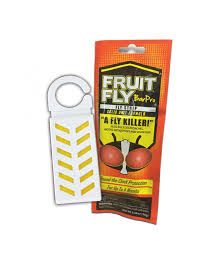 FRUIT FLY BAR PRO / 5 PACK (PACK)
