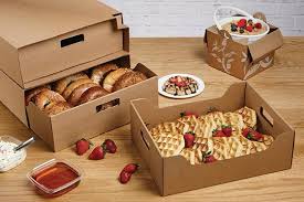 CATERING TRAY WITH COVER / LARGE / 20.25" X 13.75" X