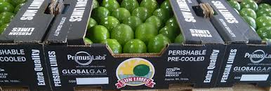 *LIMES / 40 POUND (CASE)
