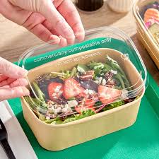 TAKE-OUT LID / PET / 16-32 OZ  / 300 PER CASE (CASE)