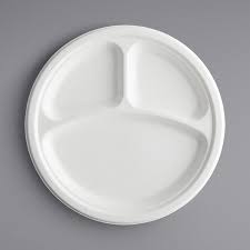 10 INCH PLASTIC PLATE / WHITE / 500 PER CASE (CASE)