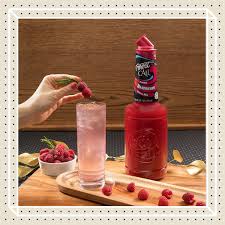 FC RASPBERRY PUREE / 1 LITER (CASE)