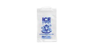 10 LB. CLEAR PLASTIC ICE BAG WITH ICE PRINT - (1000/CASE)