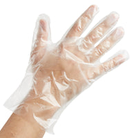 POLY FOOD SERVICVE GLOVES / LARGE (500 BOX - 20 BOXES/CS)