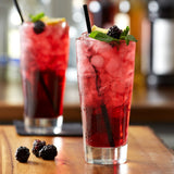 BLACKBERRY SUGAR FREE / MONIN / 1 LITER / (4/CS)