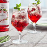 CRANBERRY / MONIN / 1 LITER / (4/CS)