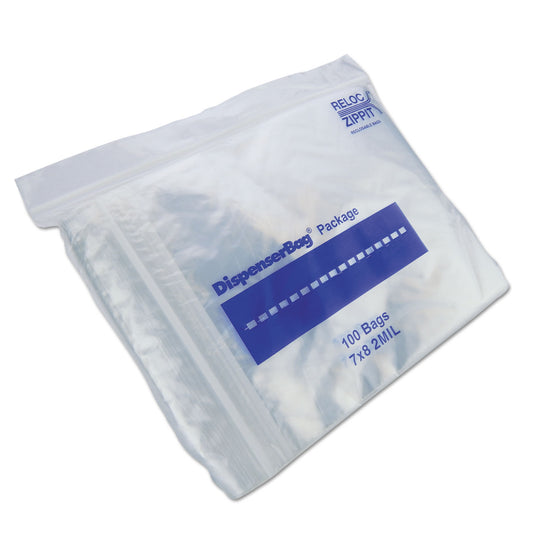 ZIP STORAGE BAG / QUART / 2 MIL, 7" X 8", CLEAR (1,000/BOX)