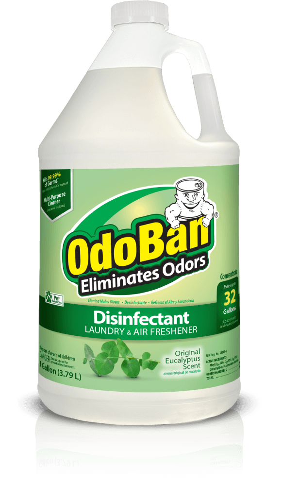 CLEAN CONTROL ODOBAN CONCENTRATED ODOR ELIMIN & DISINF - EUCALYPTUS 1GAL