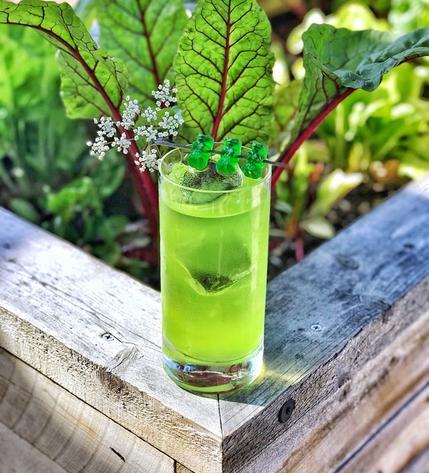 11 OZ BARCONIC MONUMENT HIGHBALL GLASS (48/CS)