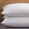 PILLOW / JUMBO / POLY CLUSTER FIBER / 20 X 30 / 100% COTTON / 30 OZ (EACH) (12/CS)