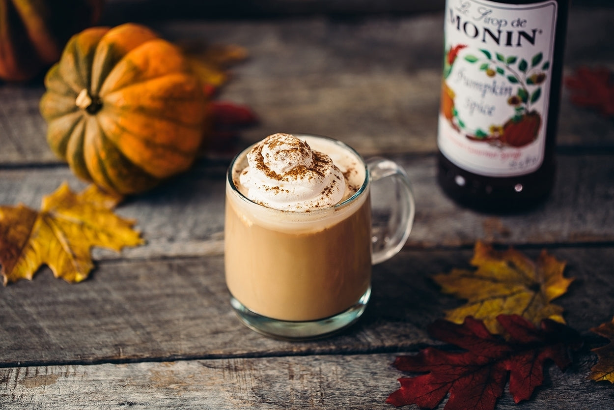 PUMPKIN SPICE / MONIN / 1 LITER / (4/CS)